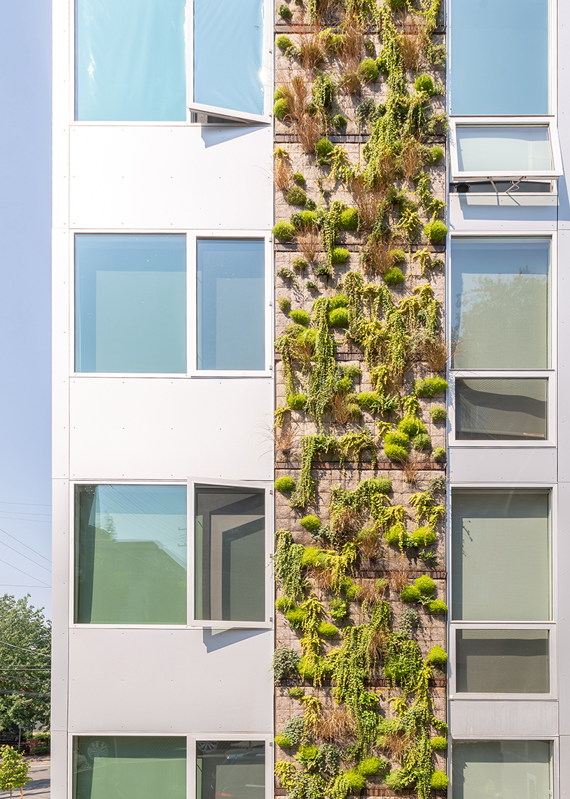 Build LLC Built Green 4-Star building with green wall, photo credit Andrew van Leeuwen