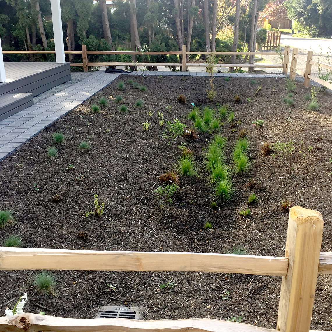 The Cottage Company Brentwood Beach Cottages creek buffer mitigation and rain garden